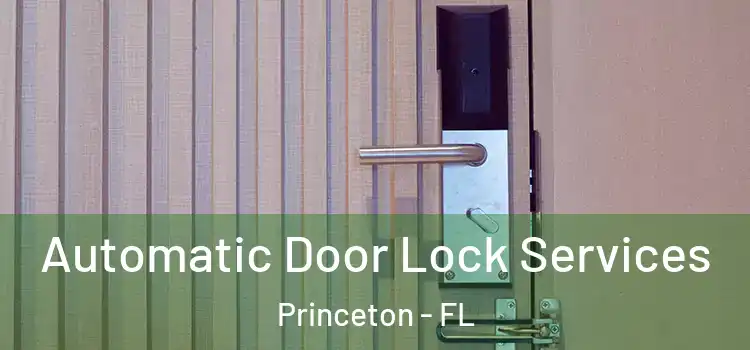 Automatic Door Lock Services Princeton - FL
