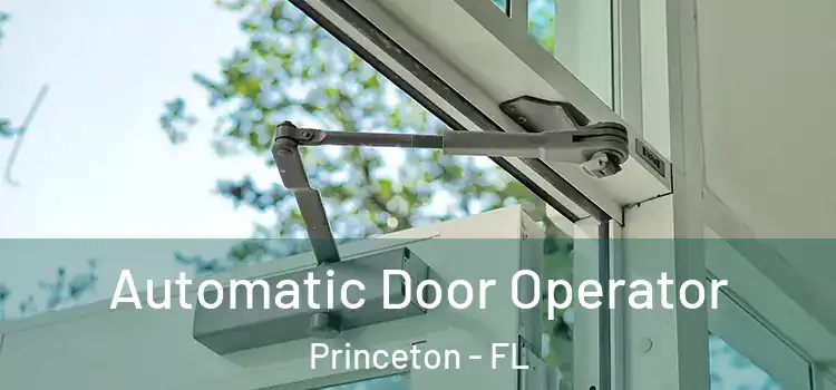 Automatic Door Operator Princeton - FL