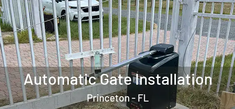 Automatic Gate Installation Princeton - FL