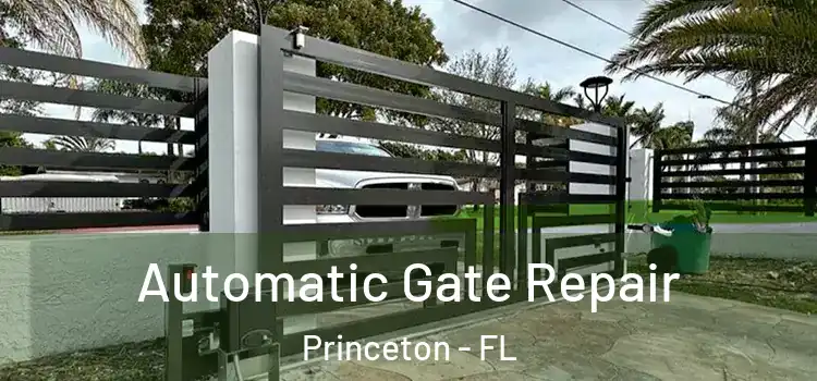 Automatic Gate Repair Princeton - FL
