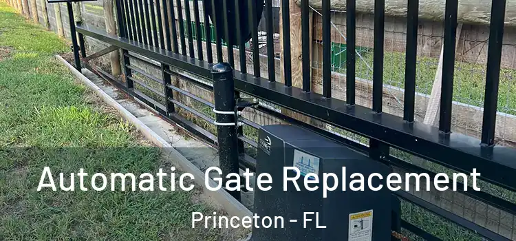 Automatic Gate Replacement Princeton - FL