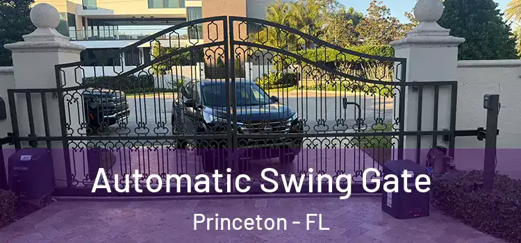 Automatic Swing Gate Princeton - FL