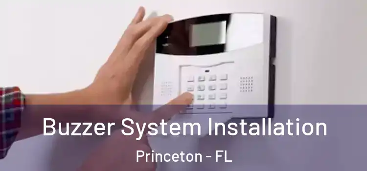 Buzzer System Installation Princeton - FL