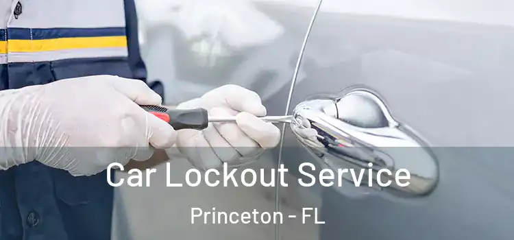 Car Lockout Service Princeton - FL