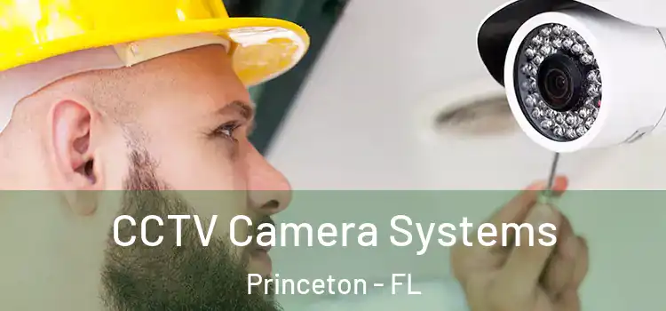 CCTV Camera Systems Princeton - FL