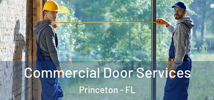 Commercial Door Services Princeton - FL