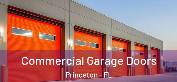  Commercial Garage Doors Princeton - FL
