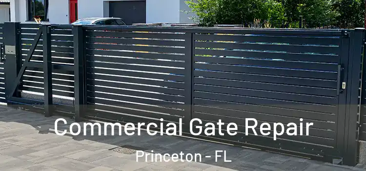 Commercial Gate Repair Princeton - FL