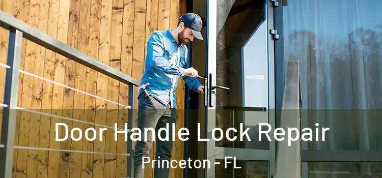 Door Handle Lock Repair Princeton - FL