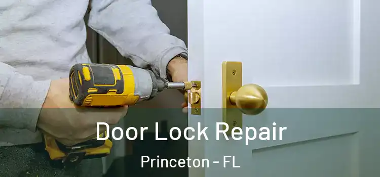 Door Lock Repair Princeton - FL