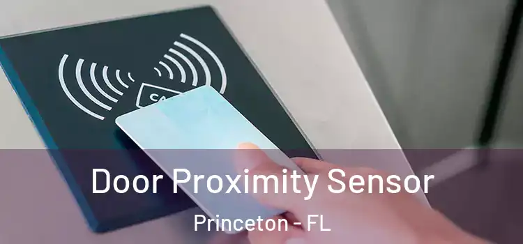 Door Proximity Sensor Princeton - FL