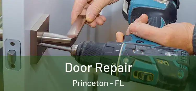 Door Repair Princeton - FL