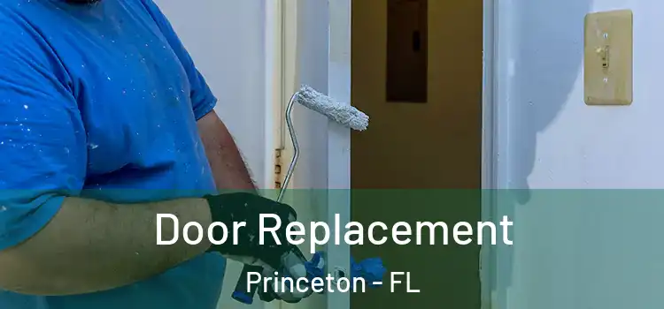Door Replacement Princeton - FL