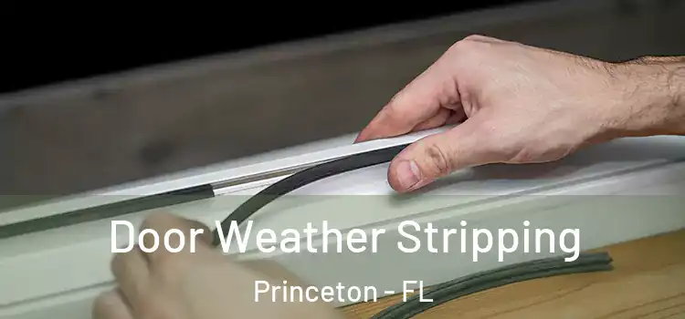 Door Weather Stripping Princeton - FL