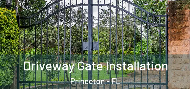Driveway Gate Installation Princeton - FL