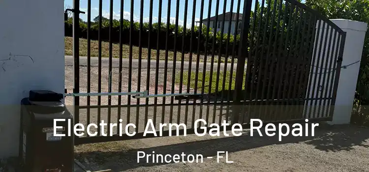 Electric Arm Gate Repair Princeton - FL