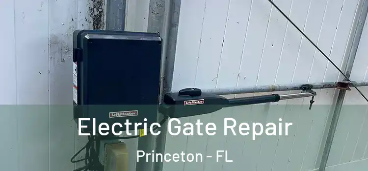 Electric Gate Repair Princeton - FL