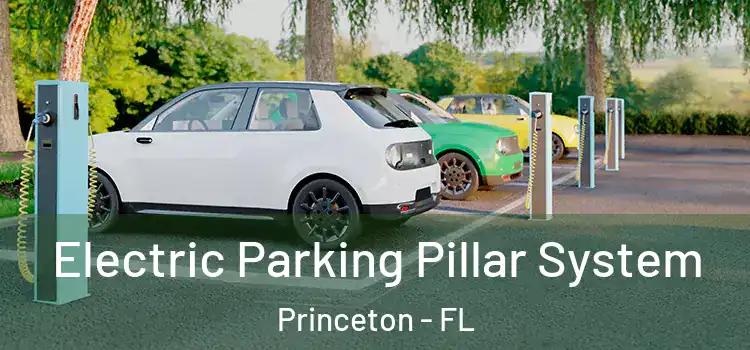 Electric Parking Pillar System Princeton - FL