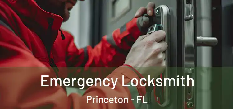 Emergency Locksmith Princeton - FL