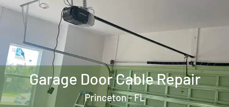  Garage Door Cable Repair Princeton - FL