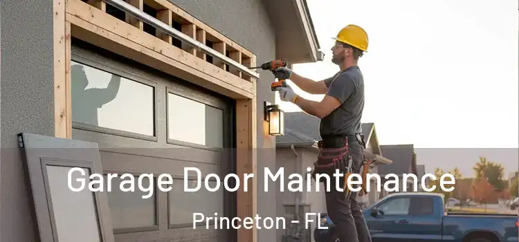 Garage Door Maintenance Princeton - FL