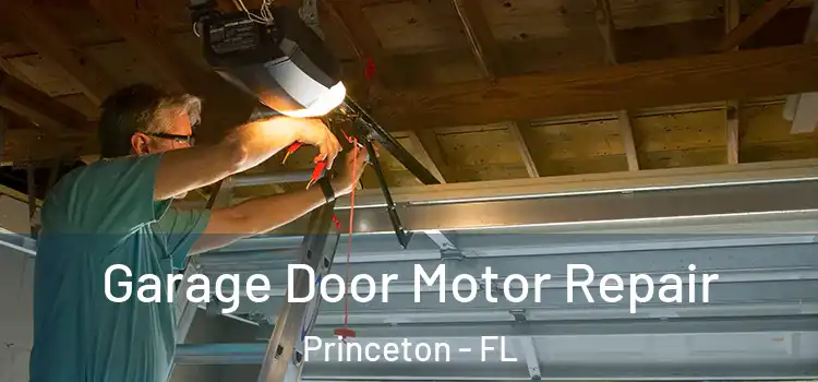  Garage Door Motor Repair Princeton - FL