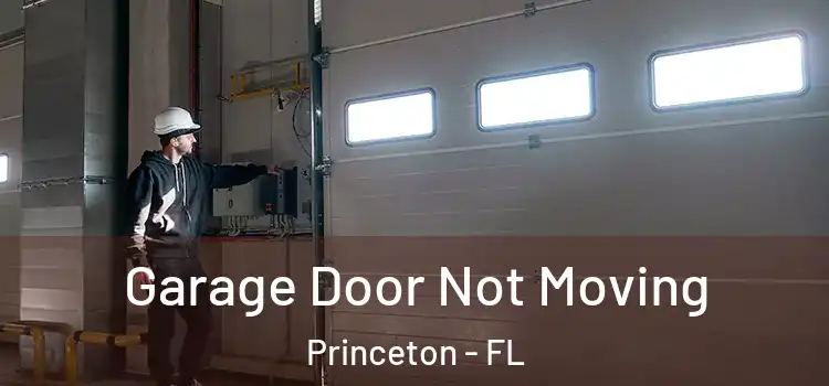  Garage Door Not Moving Princeton - FL