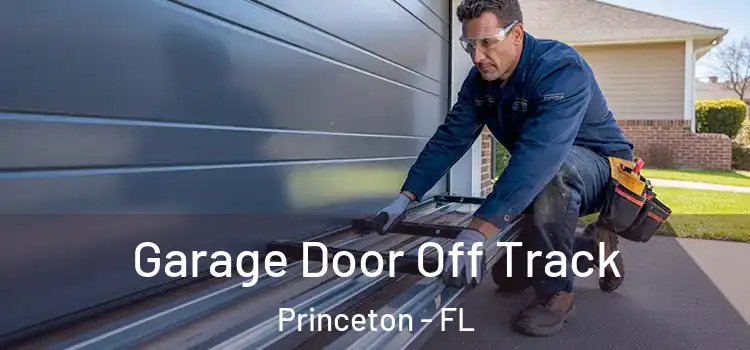  Garage Door Off Track Princeton - FL