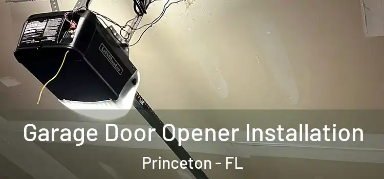  Garage Door Opener Installation Princeton - FL