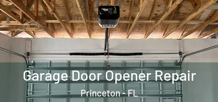 Garage Door Opener Repair Princeton - FL