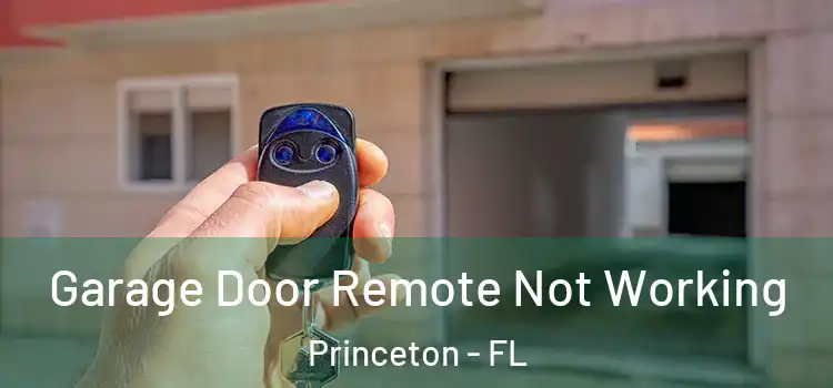 Garage Door Remote Not Working Princeton - FL