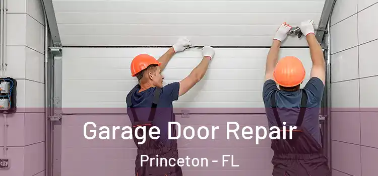  Garage Door Repair Princeton - FL