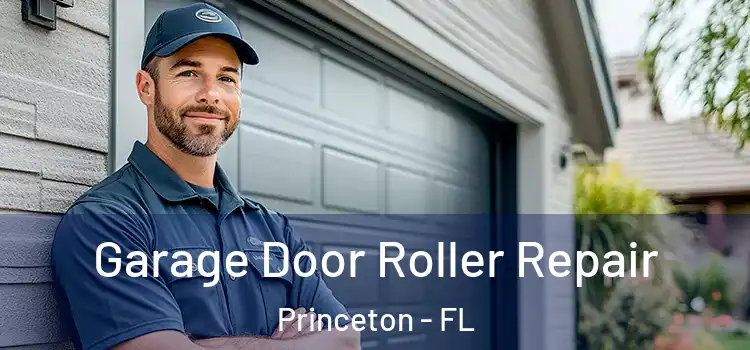  Garage Door Roller Repair Princeton - FL