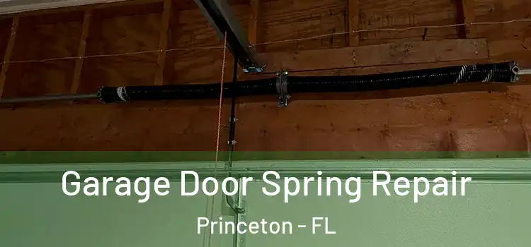  Garage Door Spring Repair Princeton - FL