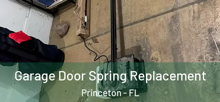  Garage Door Spring Replacement Princeton - FL