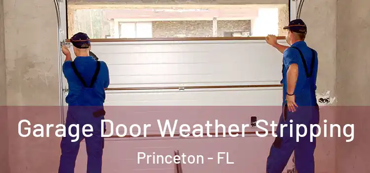  Garage Door Weather Stripping Princeton - FL