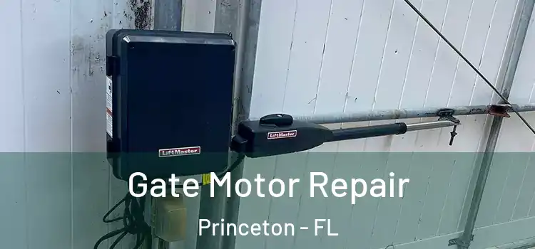 Gate Motor Repair Princeton - FL