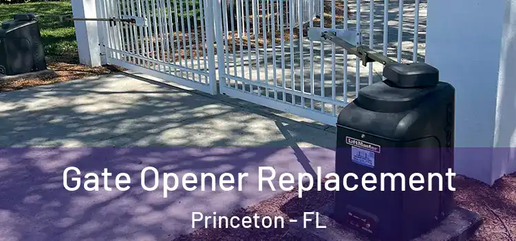 Gate Opener Replacement Princeton - FL