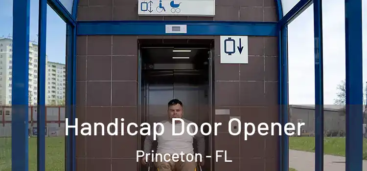 Handicap Door Opener Princeton - FL