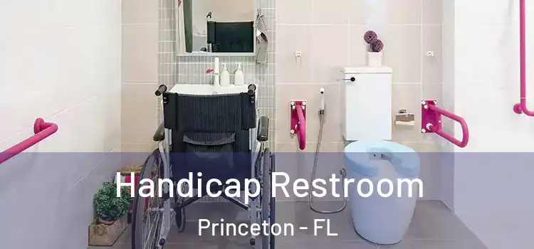 Handicap Restroom Princeton - FL