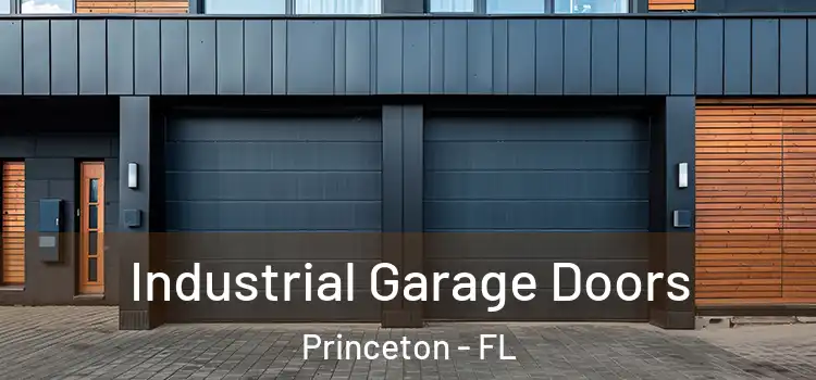  Industrial Garage Doors Princeton - FL