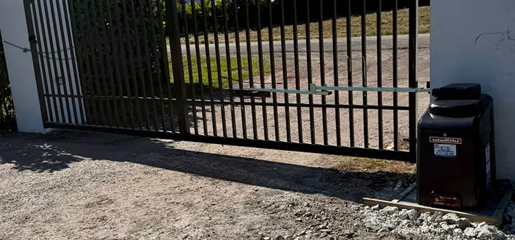 Solar Swing Gate Opener Princeton