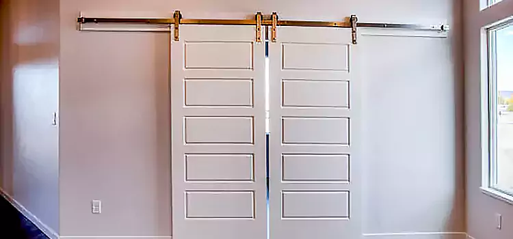 Glass Barn Door with Installation Hardware Kit Princeton
