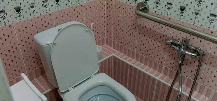 Meeting Diverse Needs With Accessible Restroom Solutions in Princeton, FL