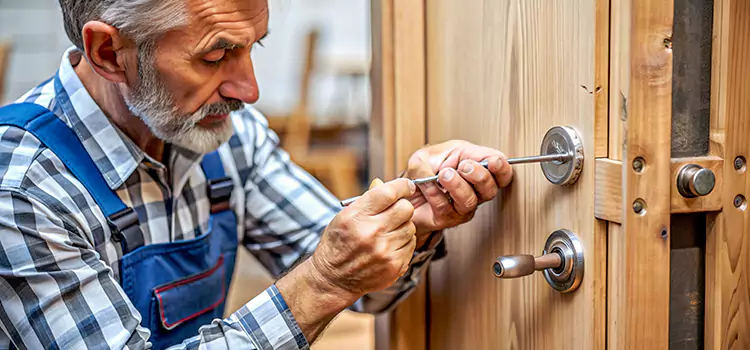 Mortise Replacement Lock Princeton