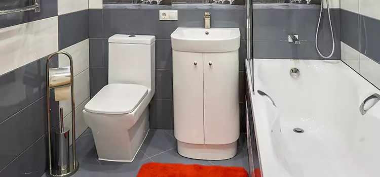 Hansgrohe Shaving Mirror Princeton