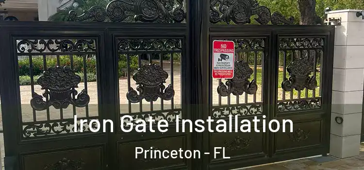 Iron Gate Installation Princeton - FL