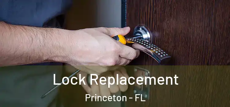 Lock Replacement Princeton - FL