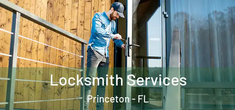 Locksmith Services Princeton - FL
