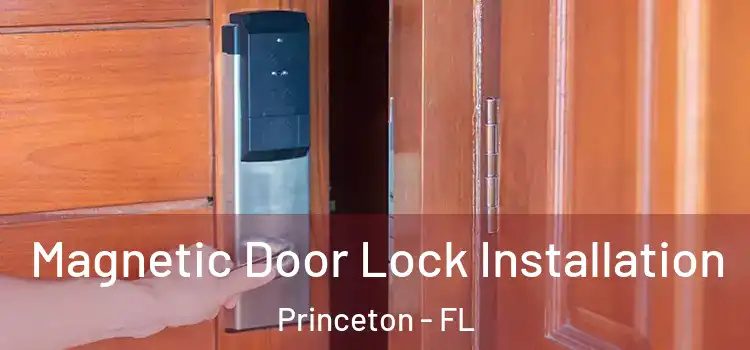  Magnetic Door Lock Installation Princeton - FL